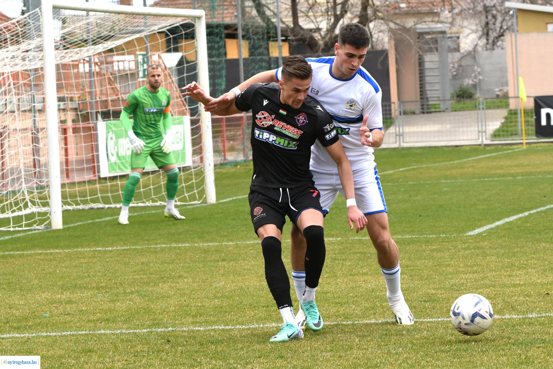 Nyíregyháza Spartacus - Szeged 2024. tavasz