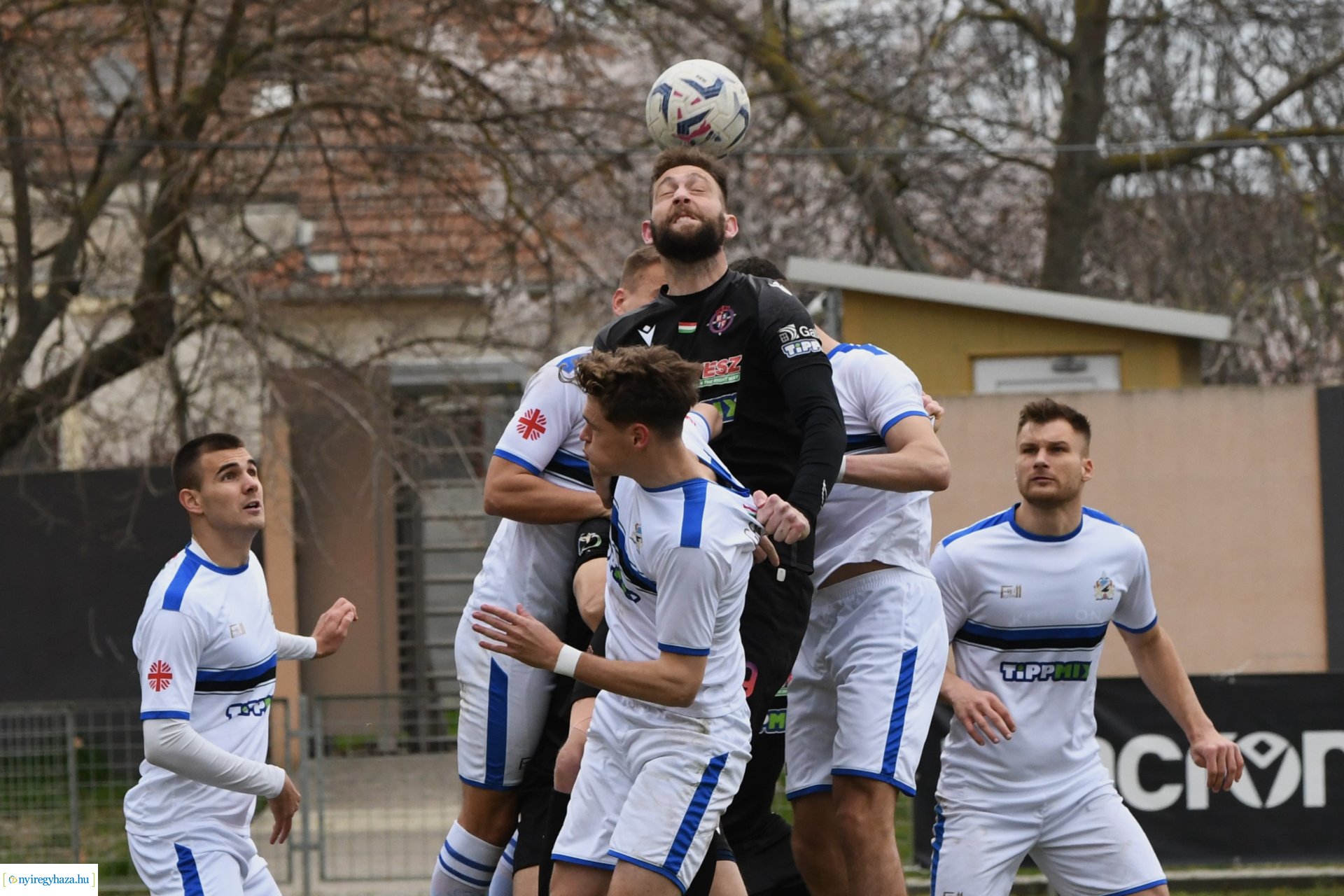 Nyíregyháza Spartacus - Szeged 2024. tavasz