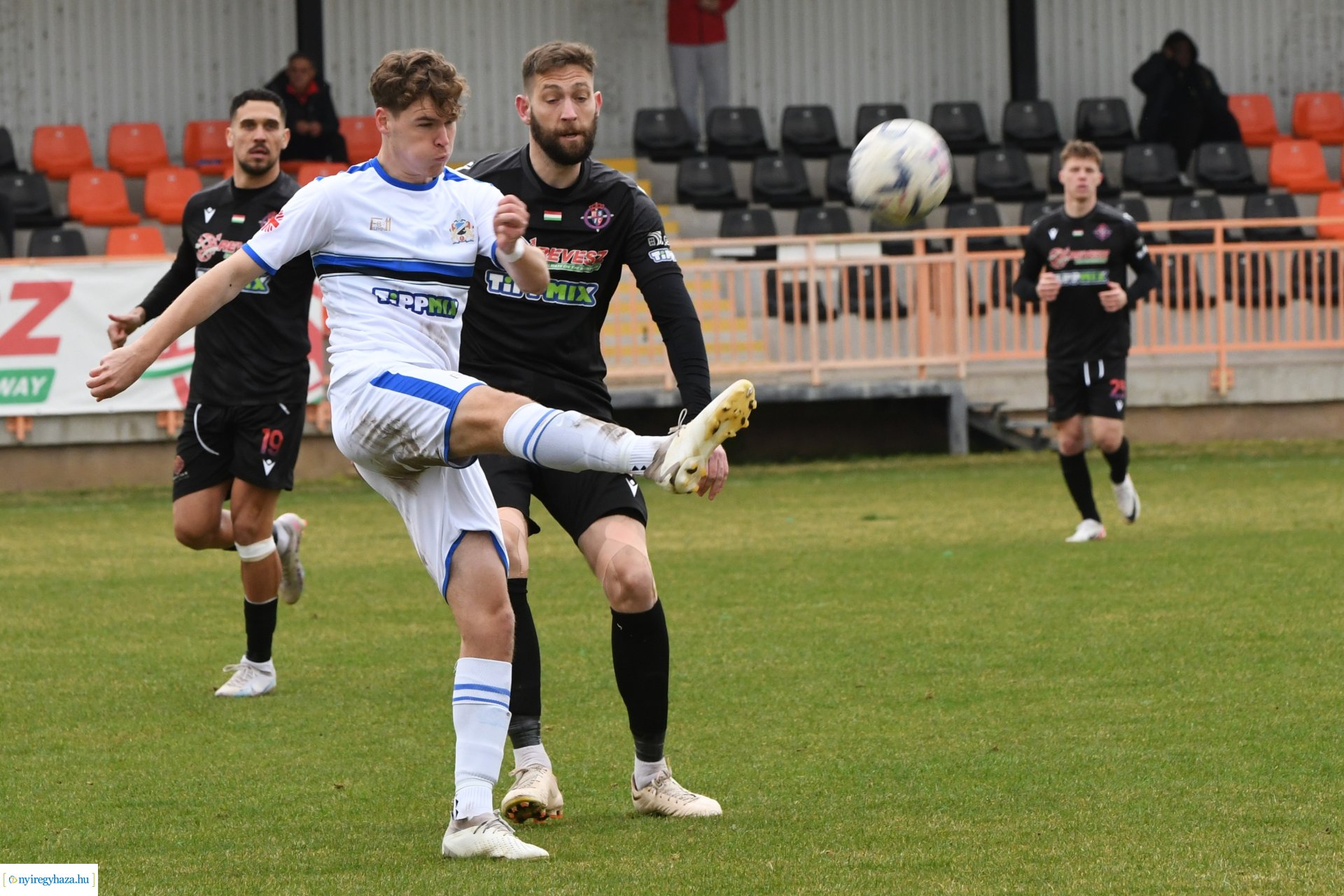 Nyíregyháza Spartacus - Szeged 2024. tavasz