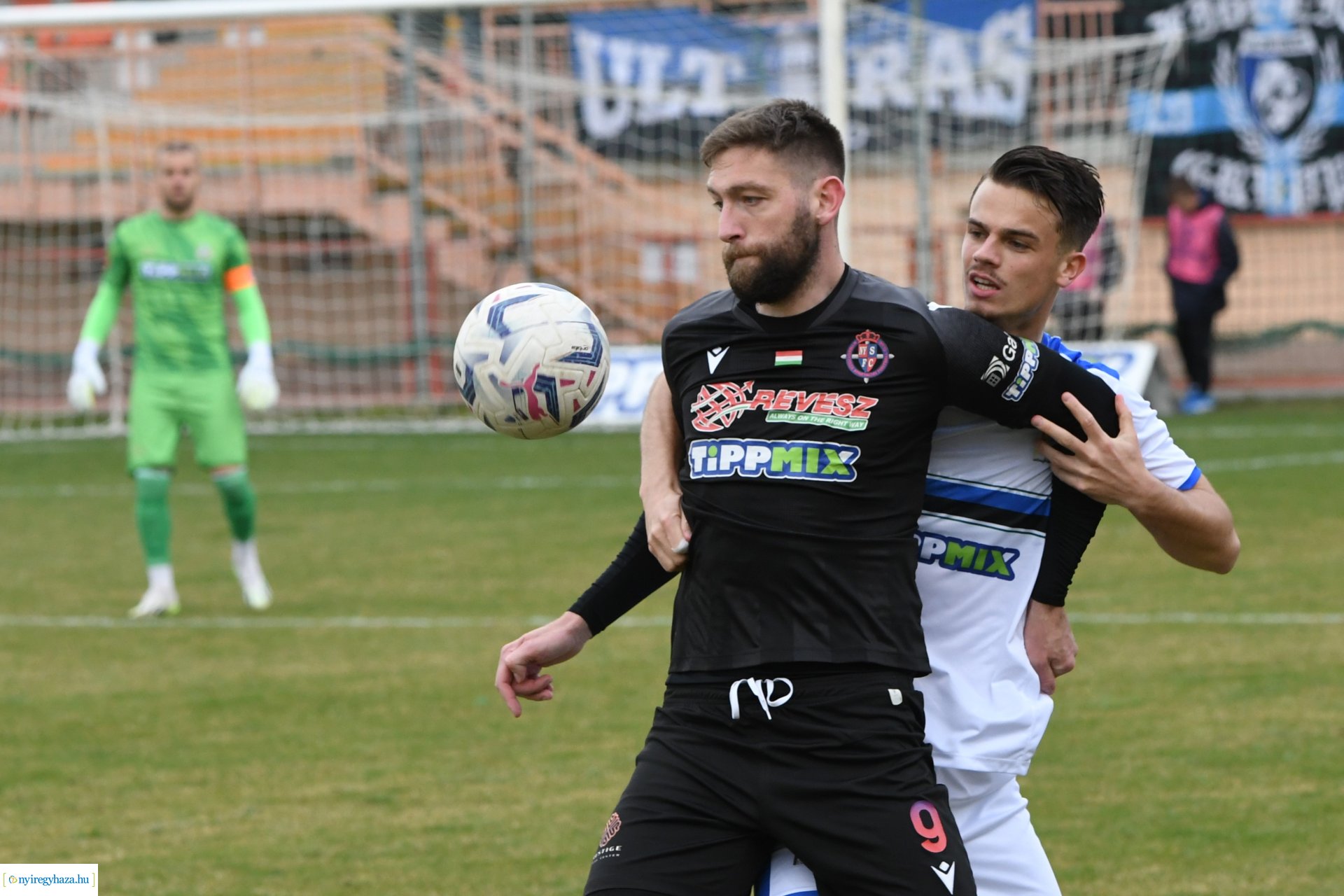 Nyíregyháza Spartacus - Szeged 2024. tavasz