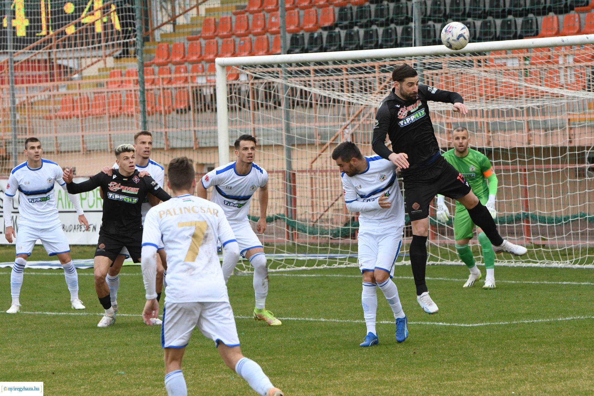 Nyíregyháza Spartacus - Szeged 2024. tavasz