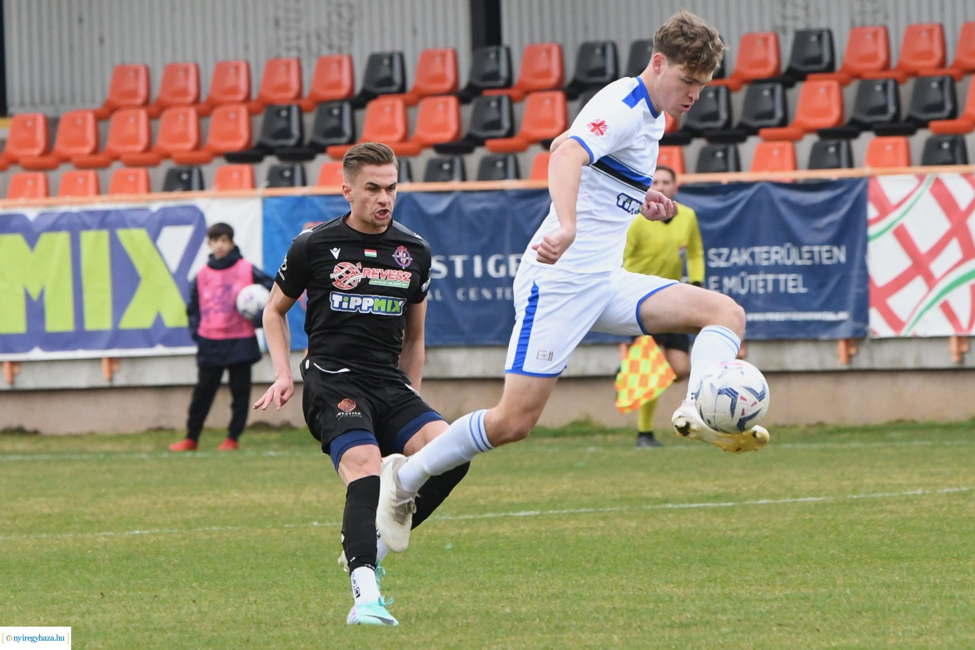 Nyíregyháza Spartacus - Szeged 2024. tavasz