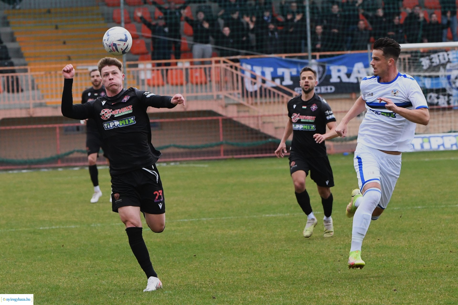 Nyíregyháza Spartacus - Szeged 2024. tavasz
