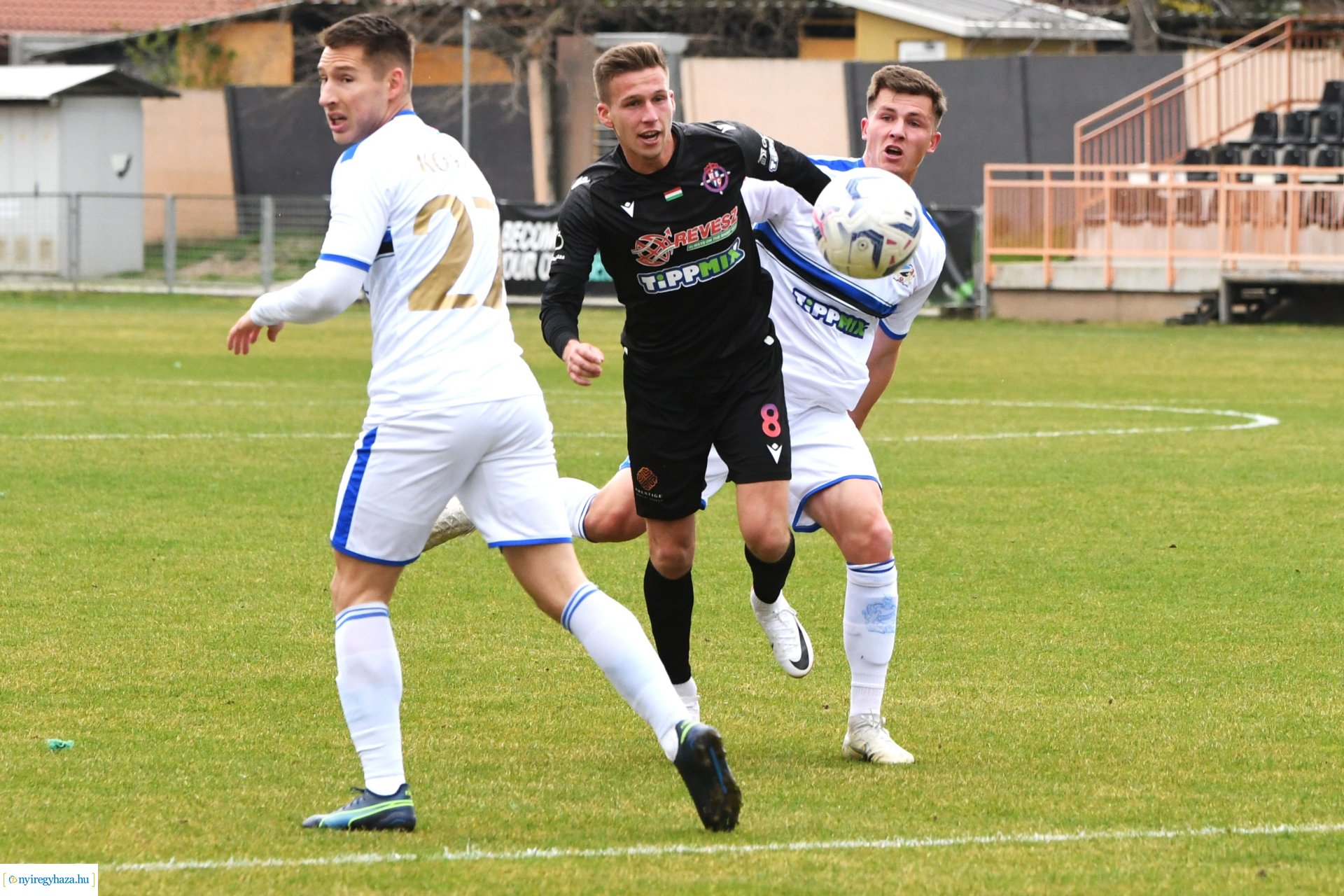 Nyíregyháza Spartacus - Szeged 2024. tavasz