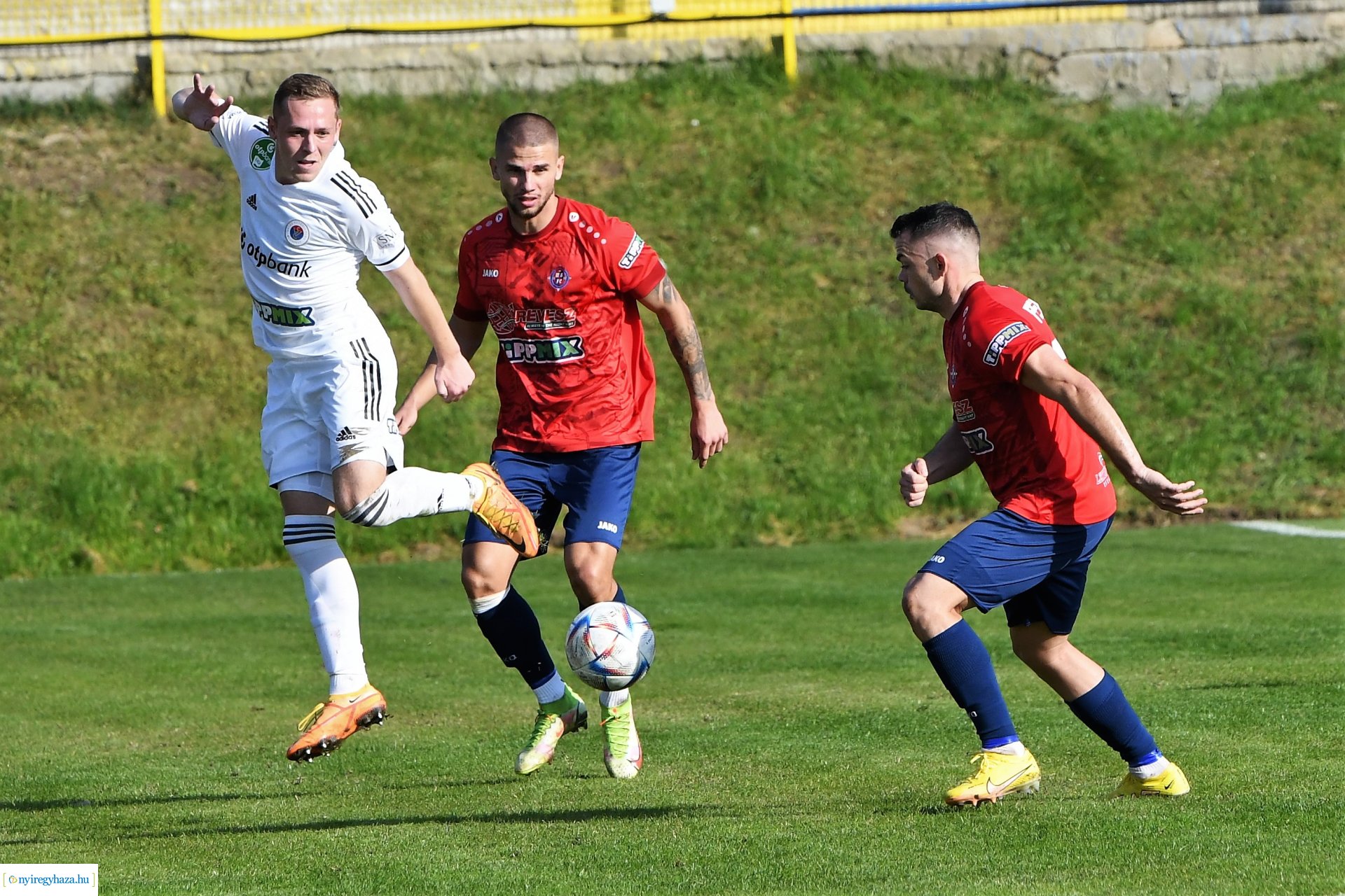 Nyíregyháza Spartacus-Vasas Mol Magyar Kupa