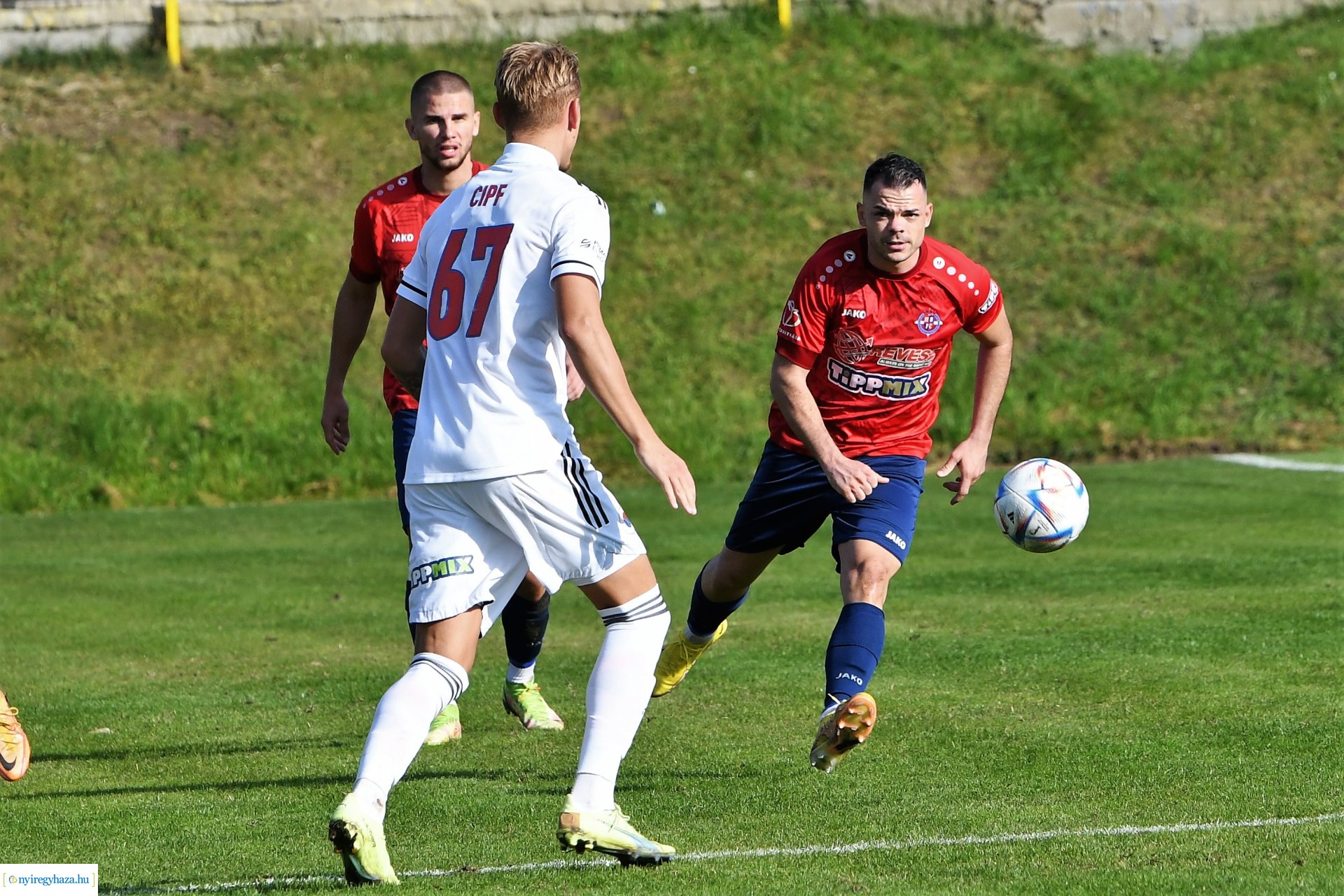 Nyíregyháza Spartacus-Vasas Mol Magyar Kupa