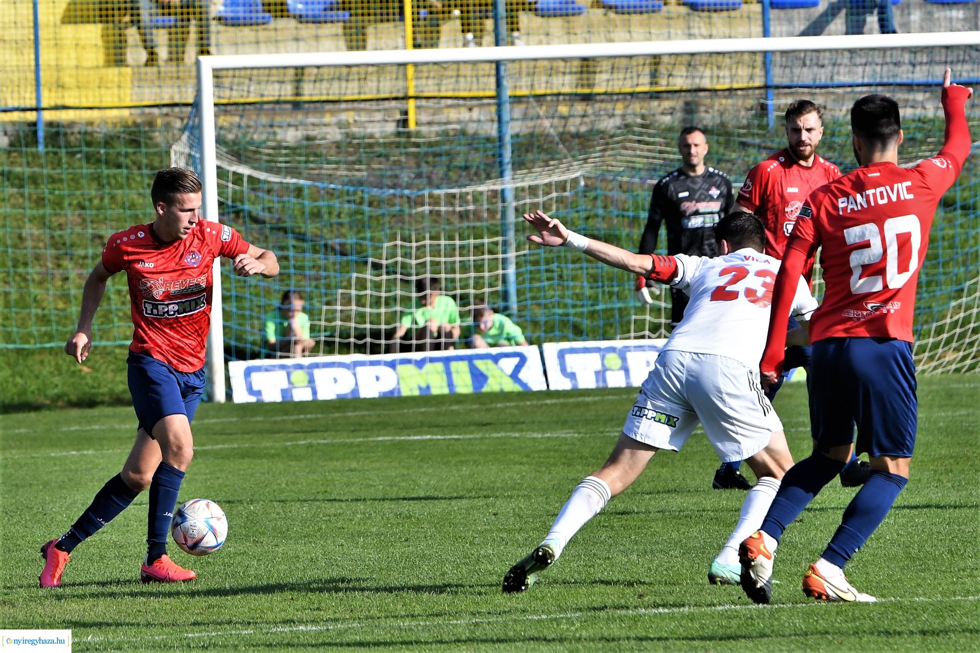 Nyíregyháza Spartacus-Vasas Mol Magyar Kupa