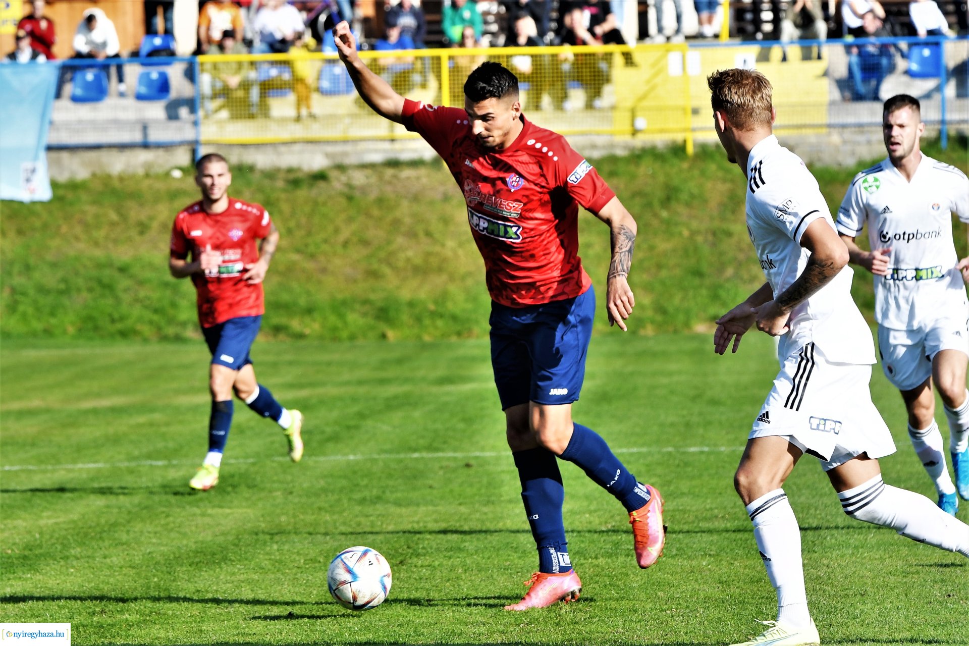 Nyíregyháza Spartacus-Vasas Mol Magyar Kupa