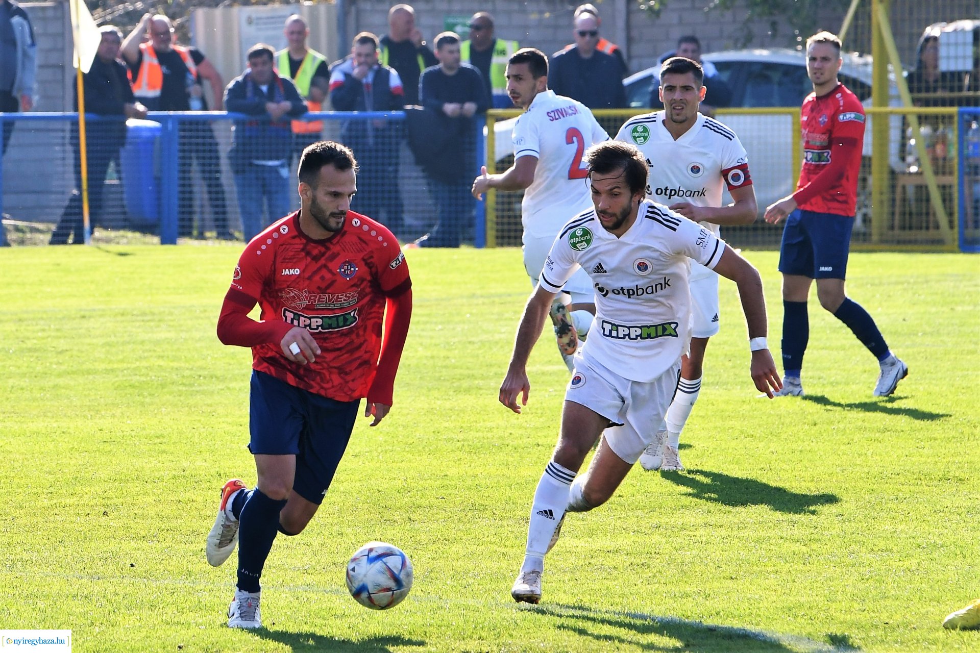 Nyíregyháza Spartacus-Vasas Mol Magyar Kupa