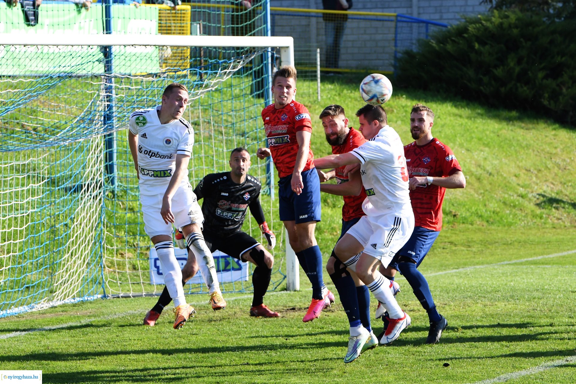 Nyíregyháza Spartacus-Vasas Mol Magyar Kupa