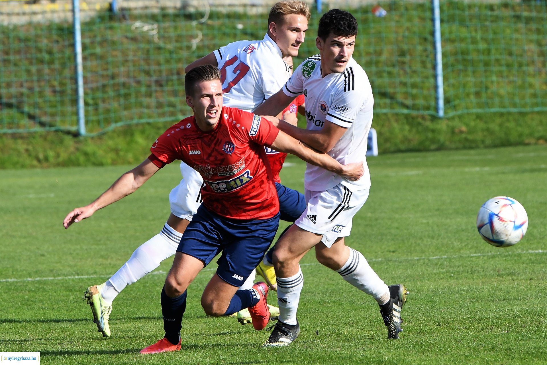 Nyíregyháza Spartacus-Vasas Mol Magyar Kupa