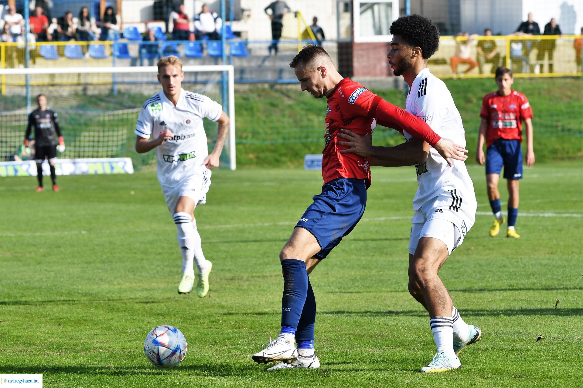 Nyíregyháza Spartacus-Vasas Mol Magyar Kupa