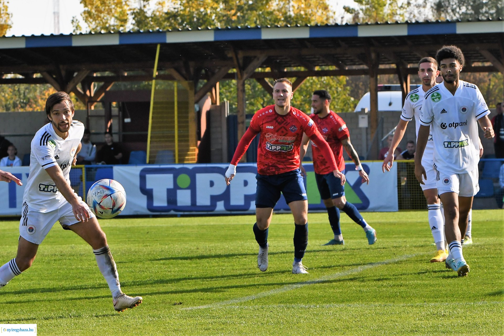Nyíregyháza Spartacus-Vasas Mol Magyar Kupa