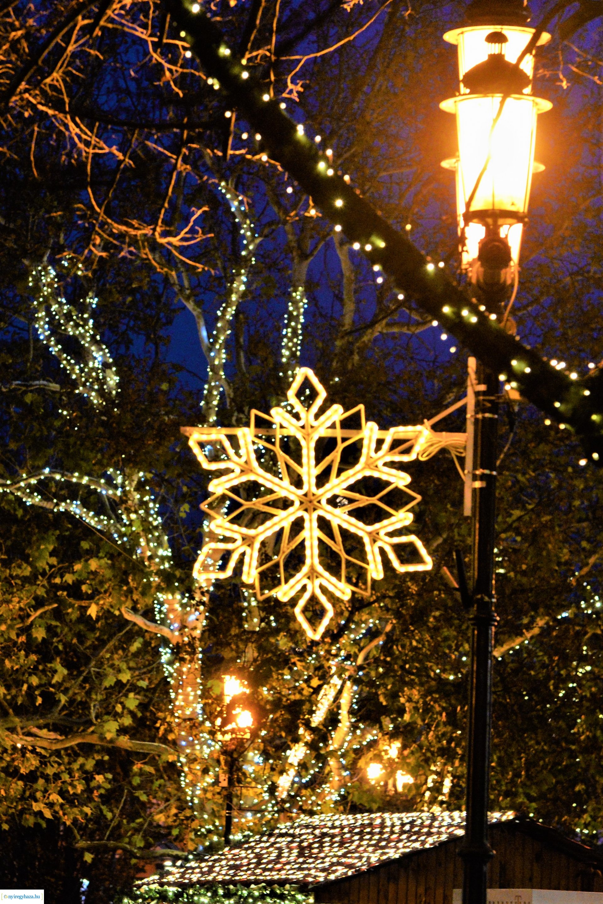 Nyíregyháza ünnepi fényei