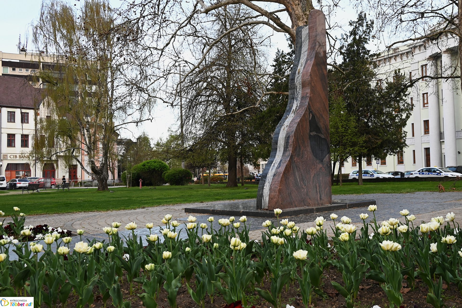 Nyíregyháza virágba borult
