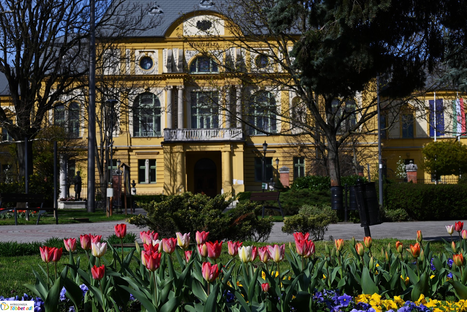 Nyíregyháza virágba borult