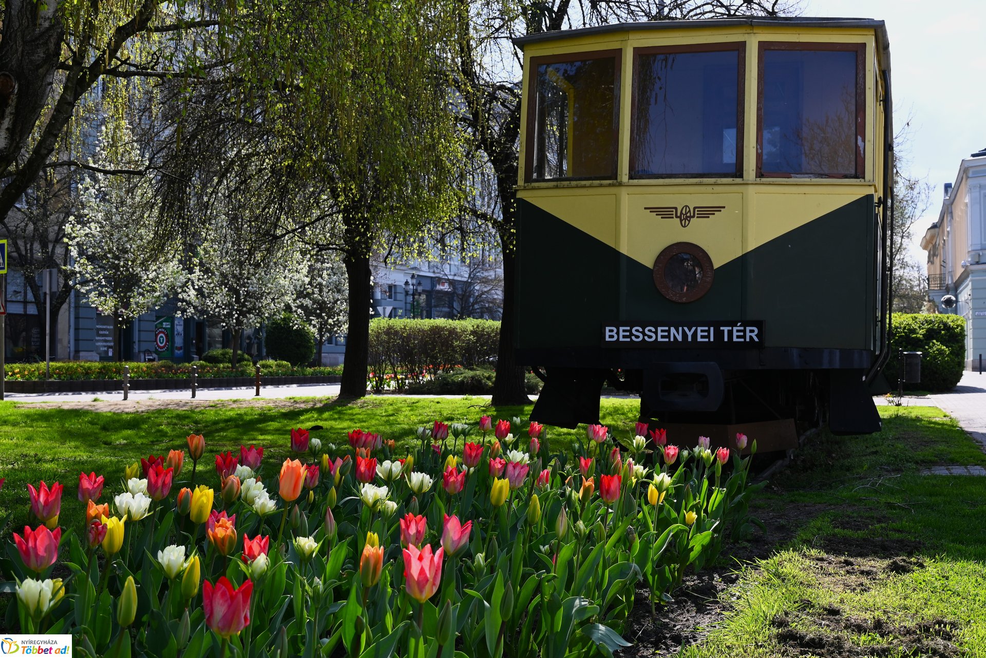 Nyíregyháza virágba borult