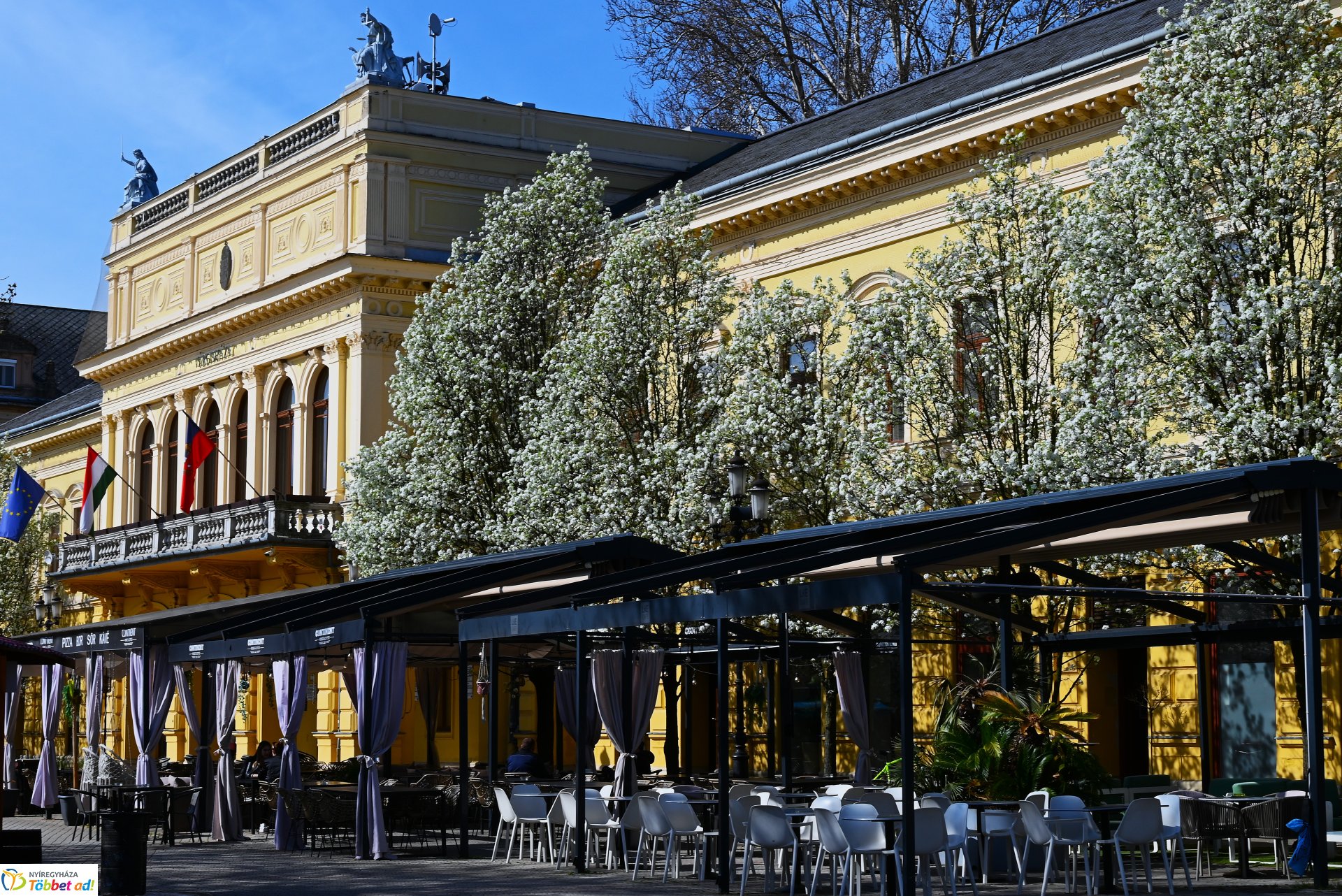 Nyíregyháza virágba borult