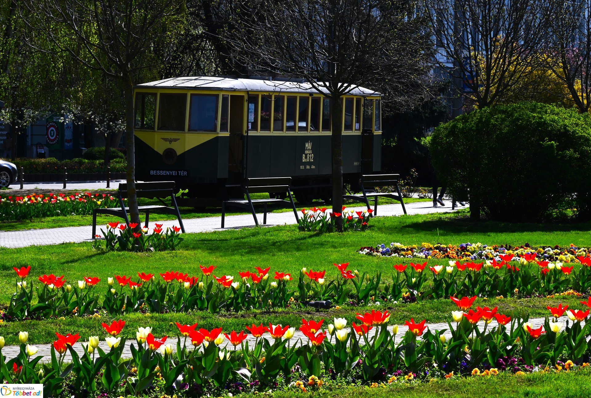 Nyíregyháza virágba borult