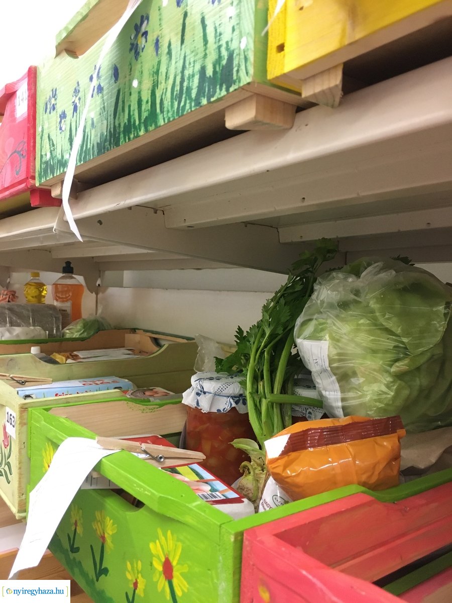 Nyíregyházi Kosárközösség 200131