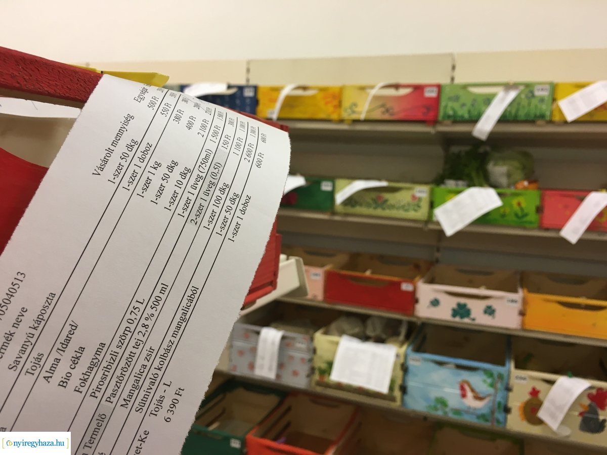 Nyíregyházi Kosárközösség 200131