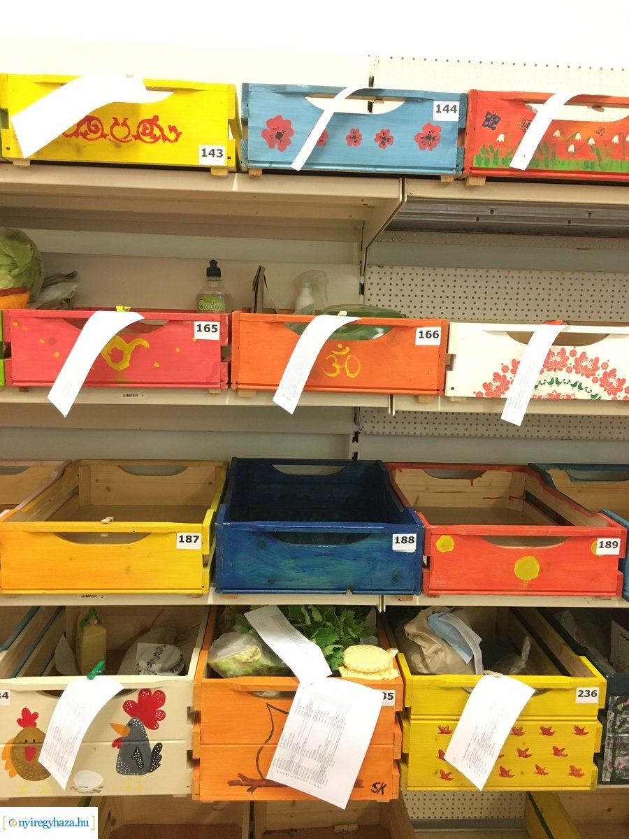 Nyíregyházi Kosárközösség 200131