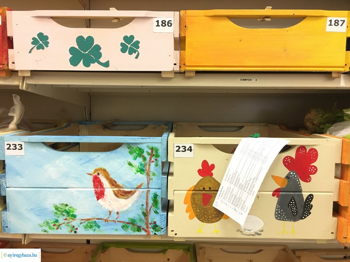 Nyíregyházi Kosárközösség 200131