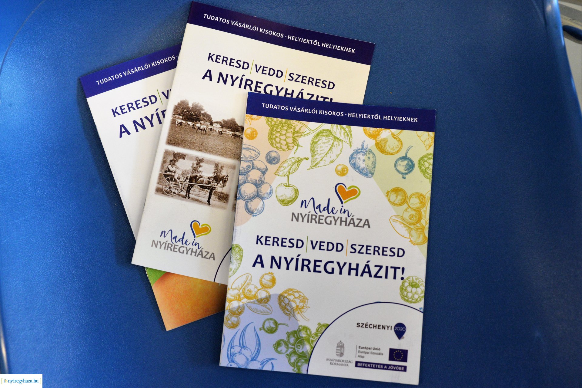 Nyíregyházi Made in V4 szakmai nap