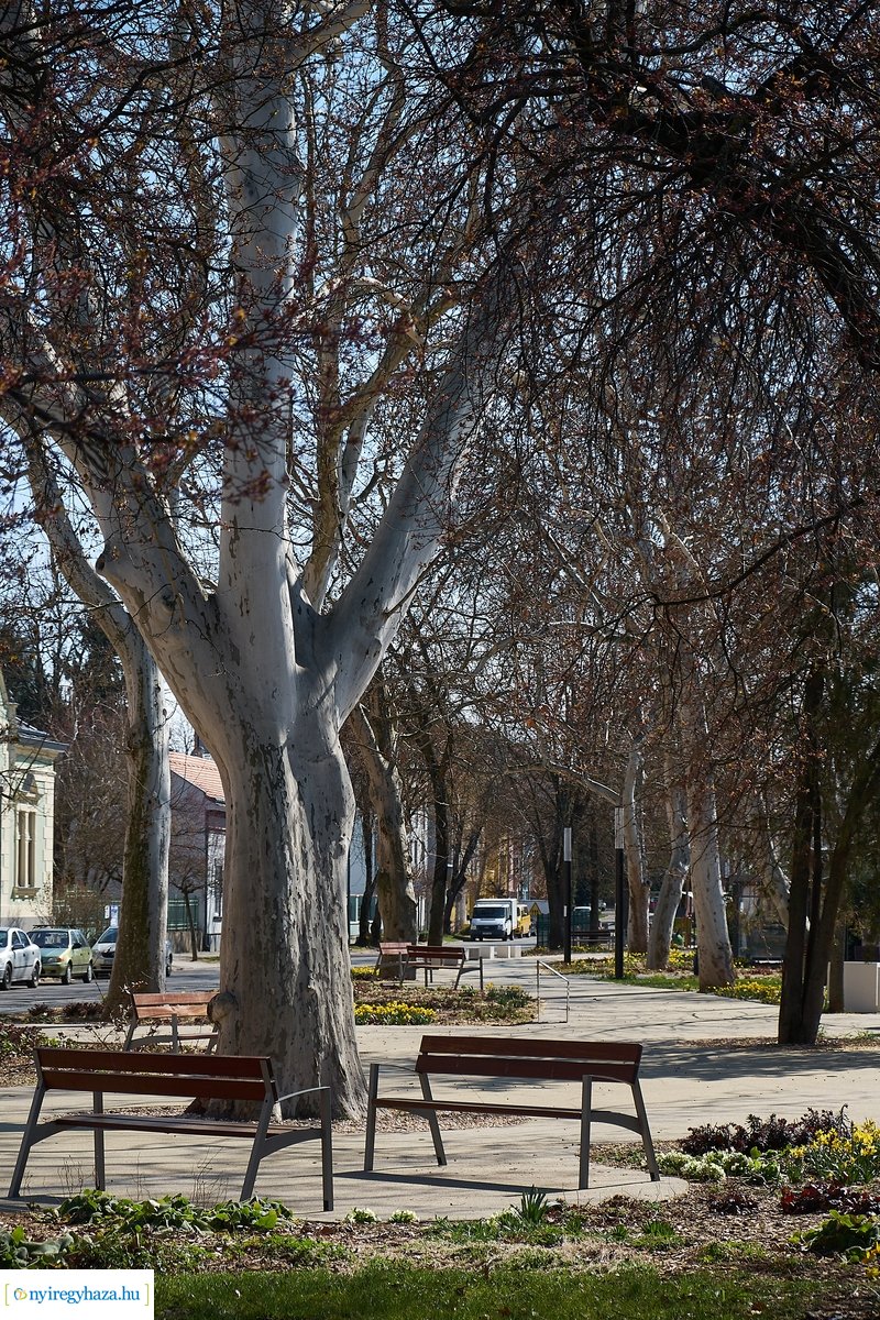 Nyíregyházi pillanatképek 20200324