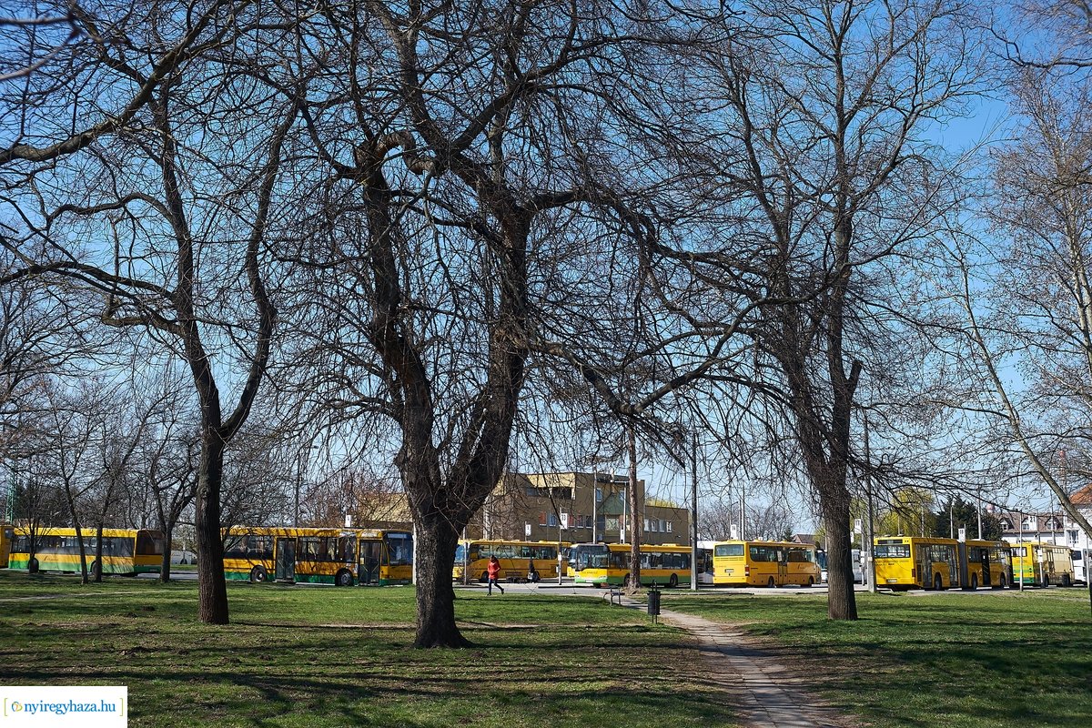 Nyíregyházi pillanatképek 20200324