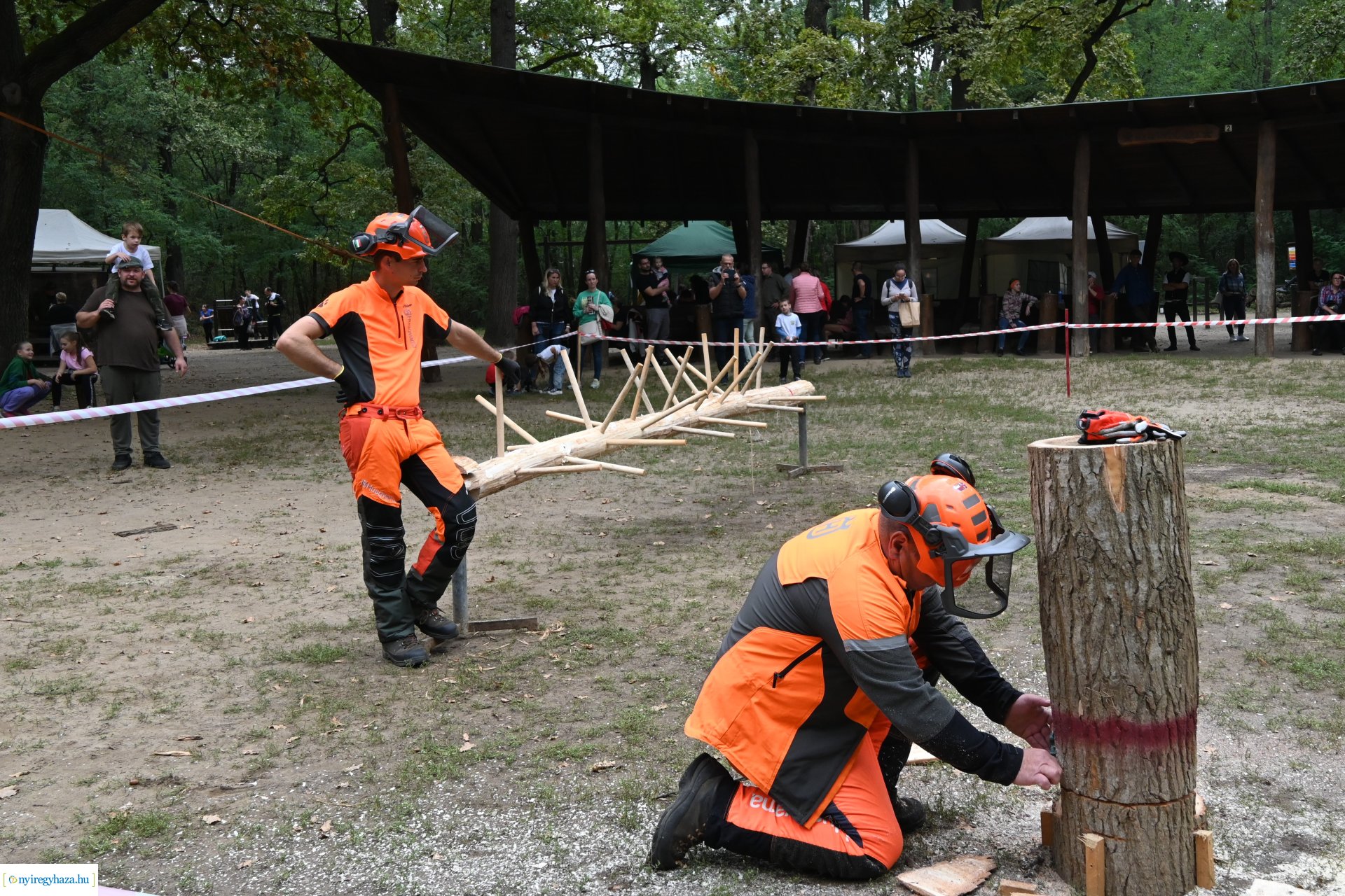 Nyírerdő nap 2024