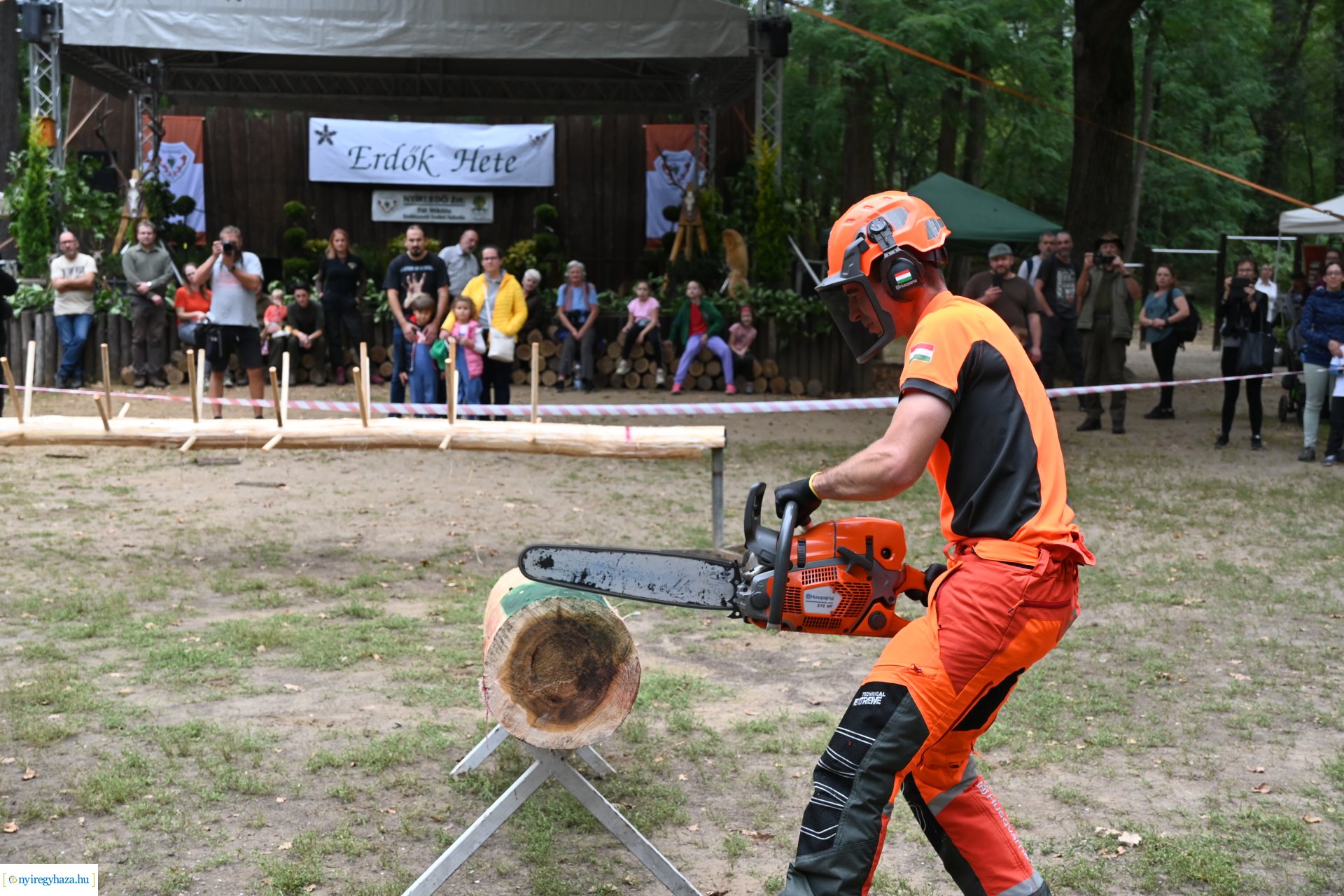 Nyírerdő nap 2024