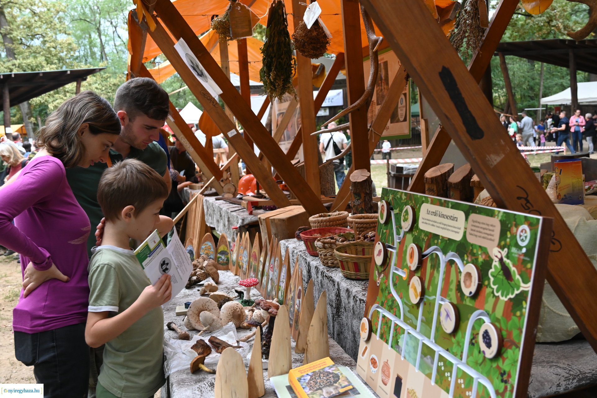 Nyírerdő nap 2024