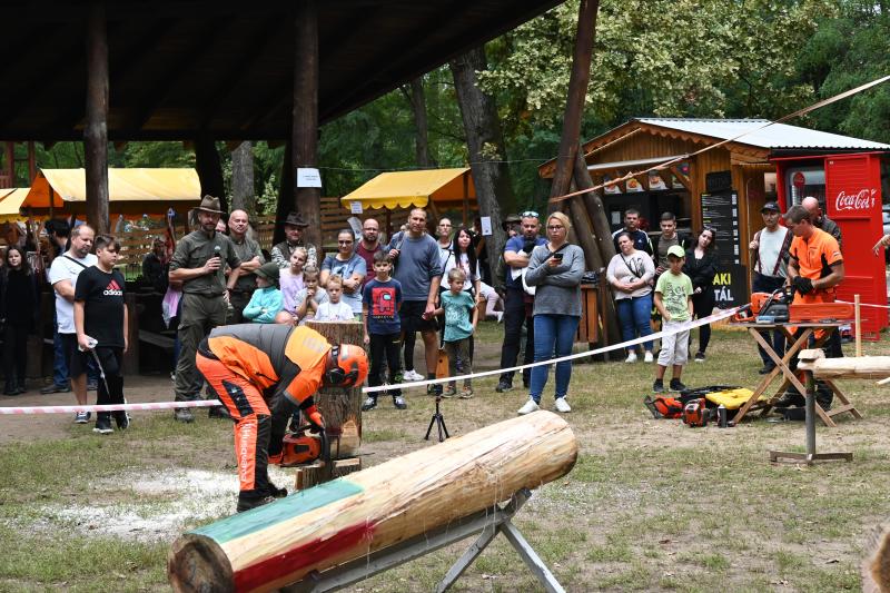 Nyírerdő nap 2024