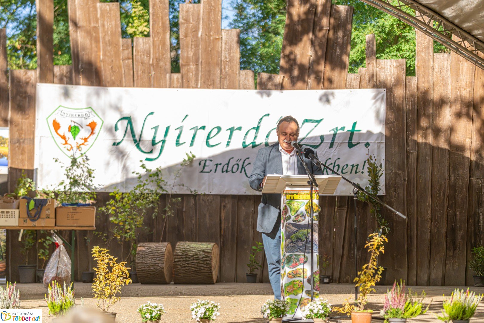 NYÍRERDŐ NAP