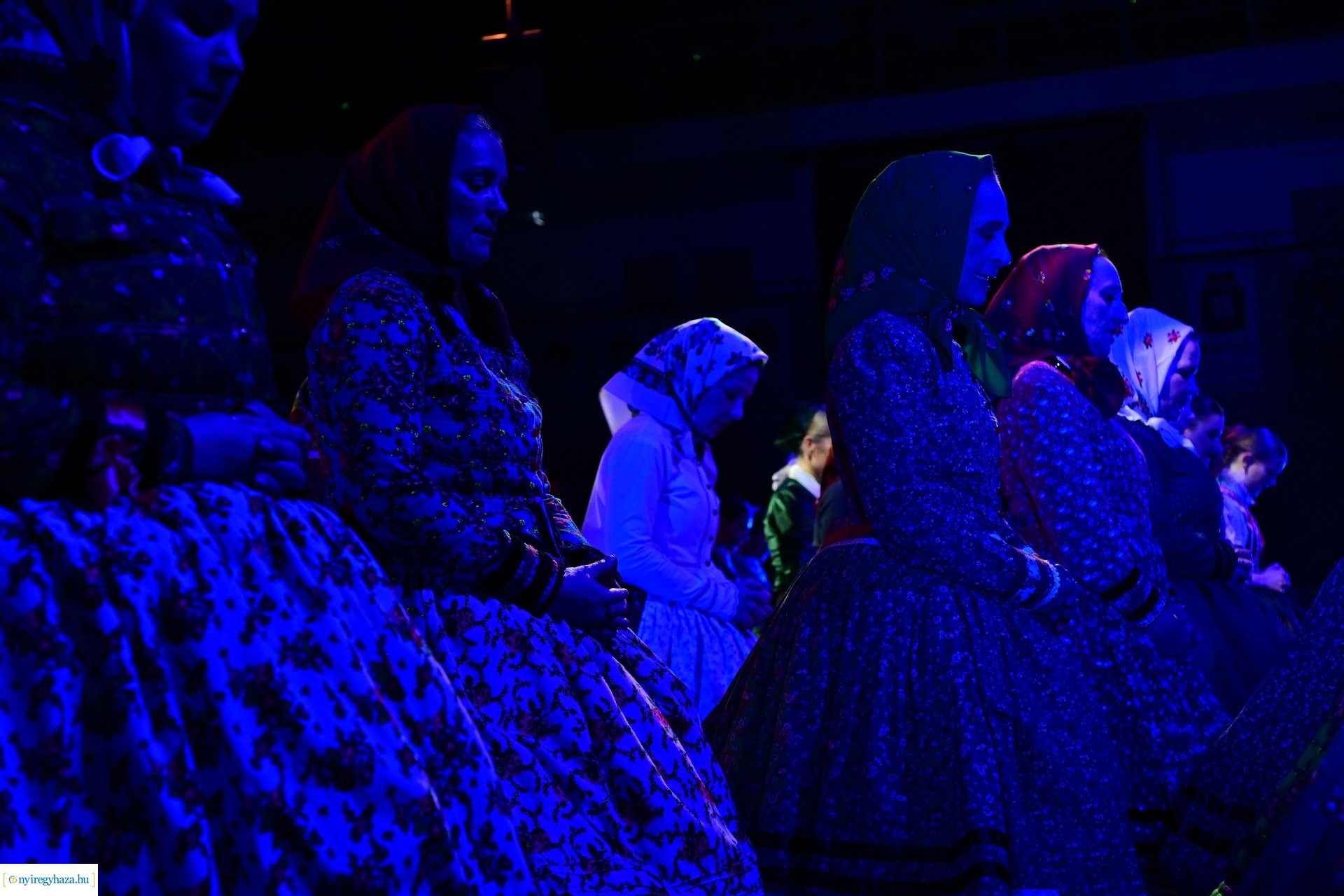 Nyírség 50  -  2024