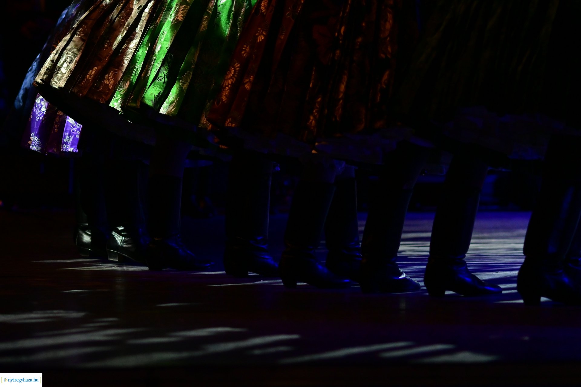 Nyírség 50  -  2024