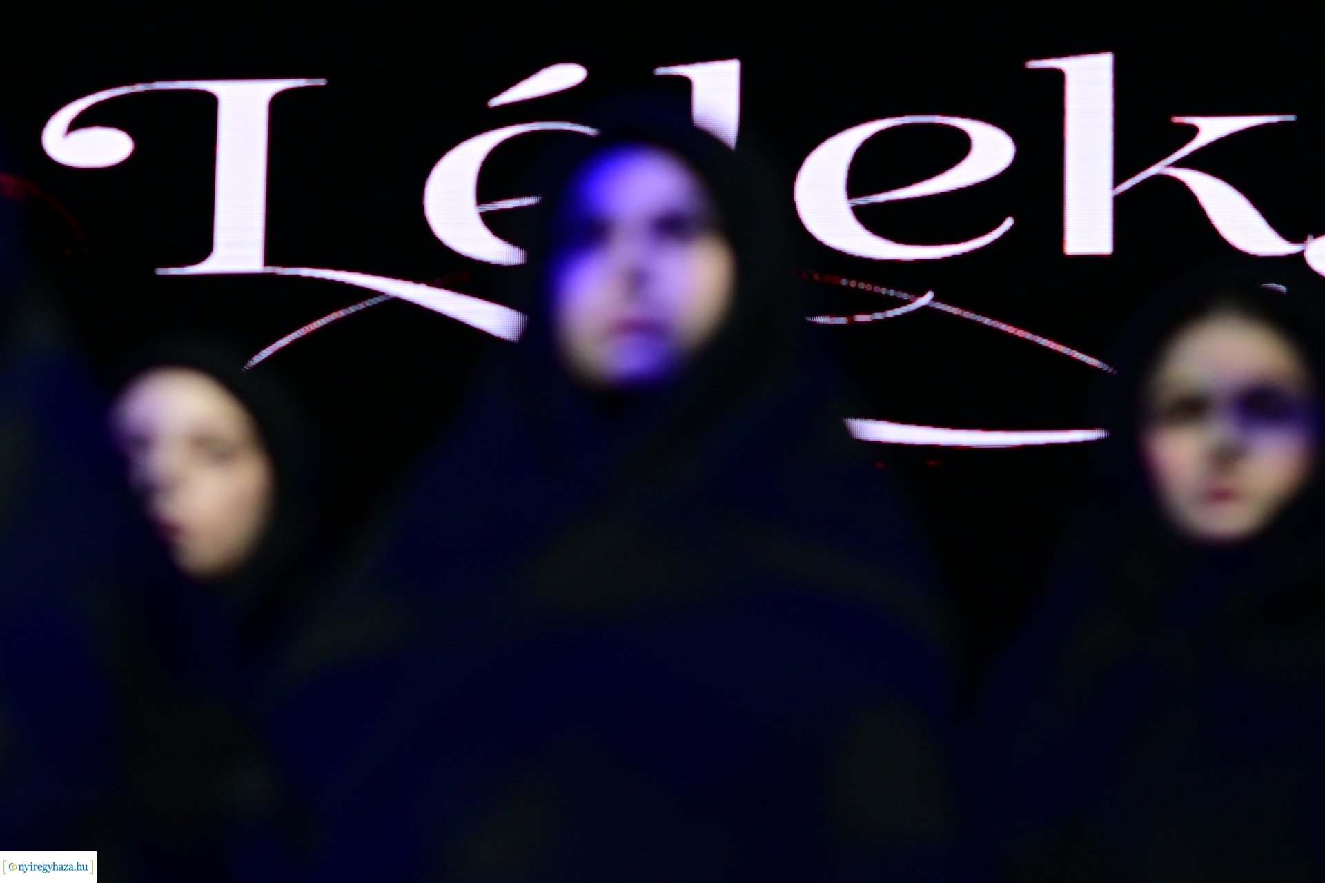 Nyírség 50  -  2024