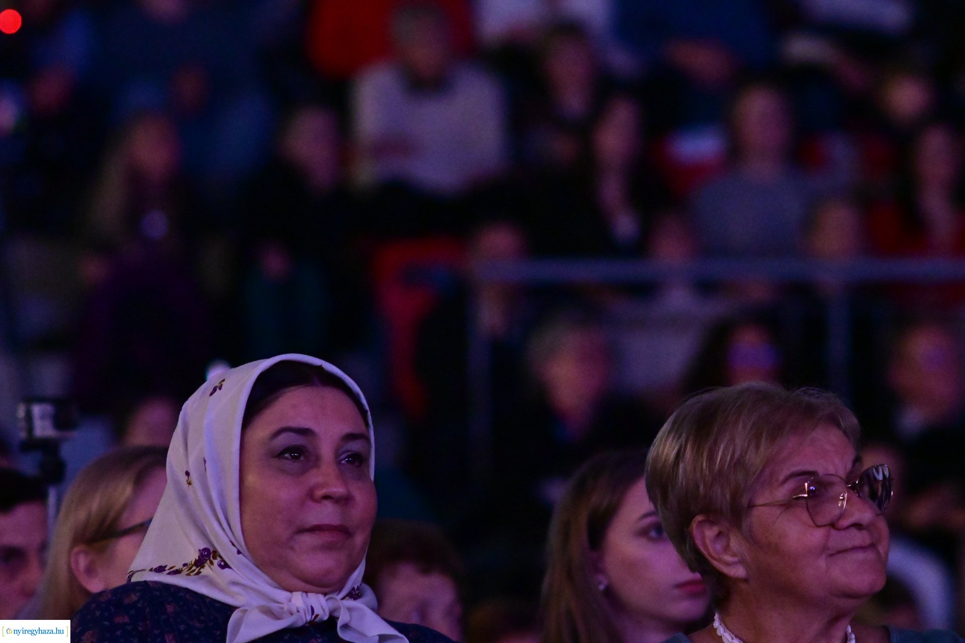 Nyírség 50  -  2024