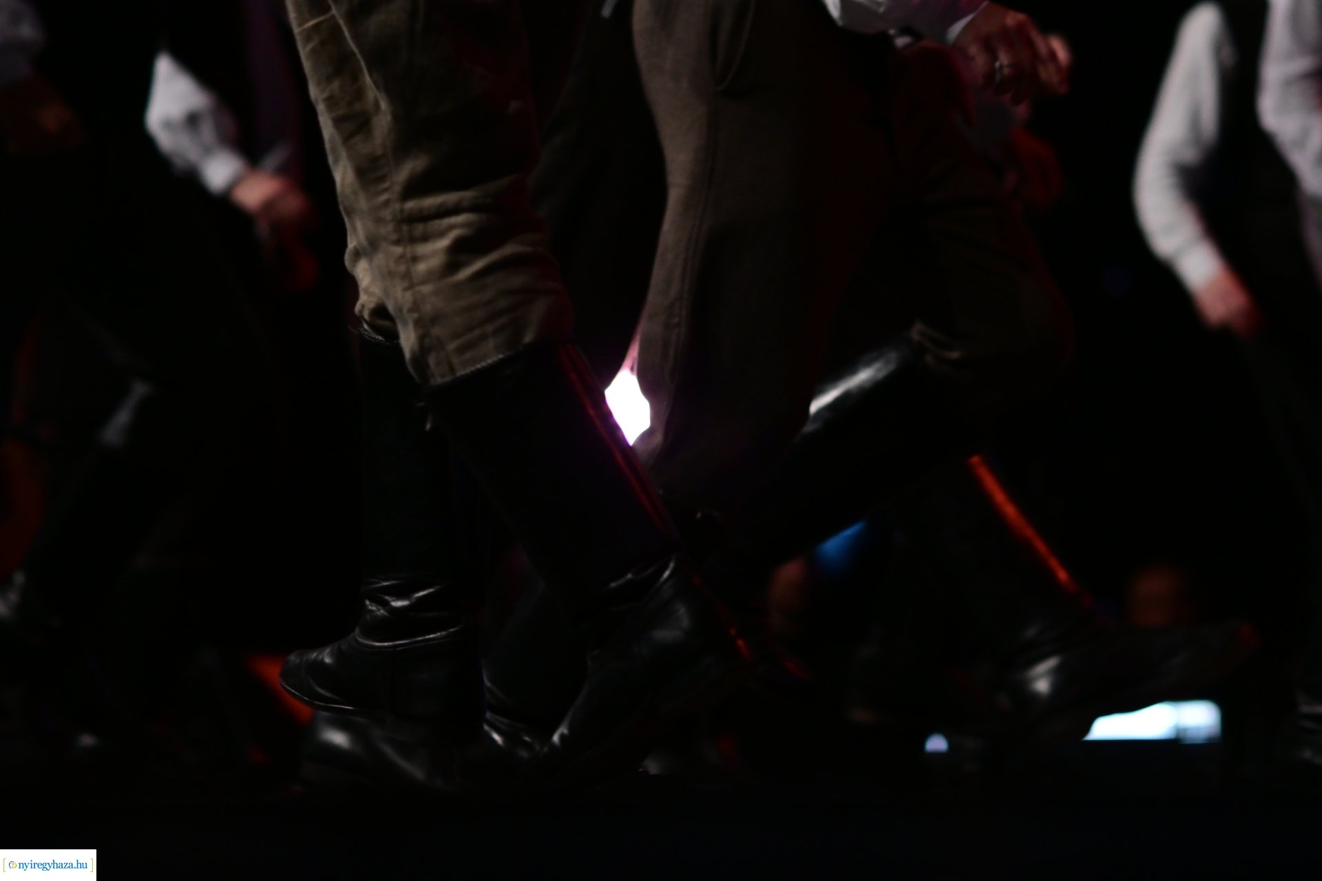 Nyírség 50  -  2024