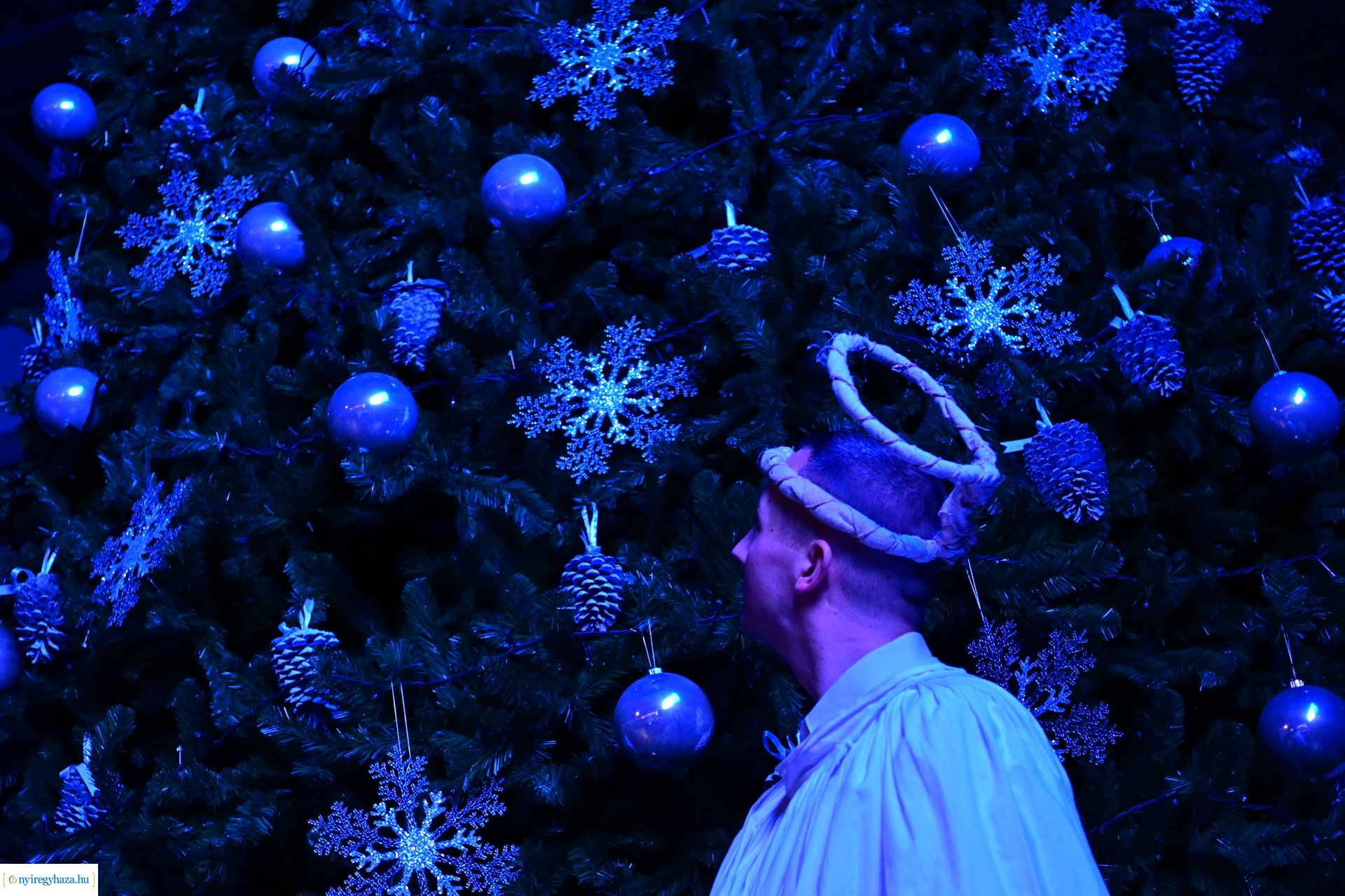 Nyírség 50  -  2024