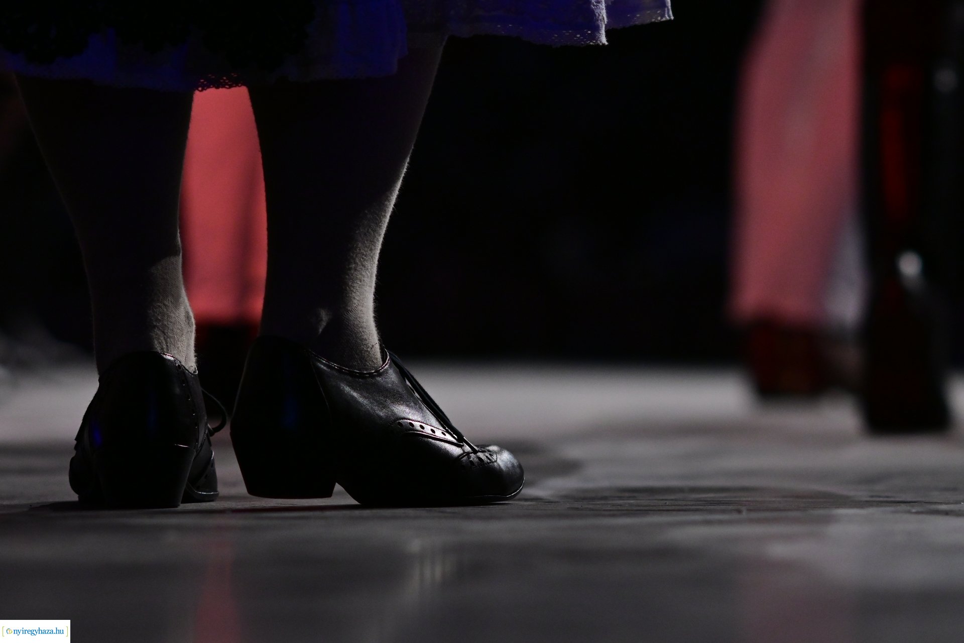 Nyírség 50  -  2024