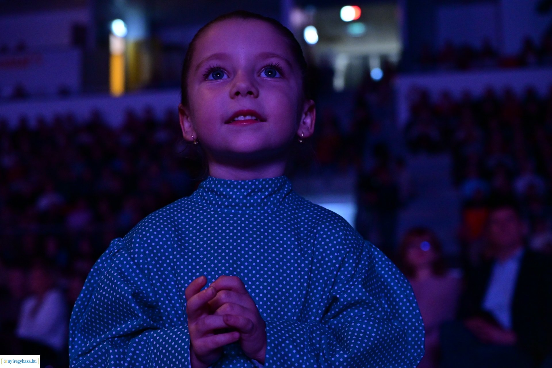 Nyírség 50  -  2024