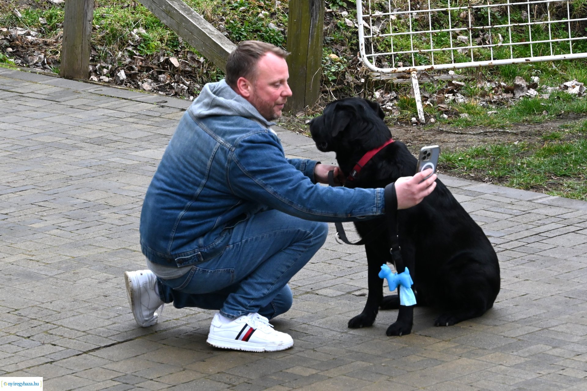 Nyírségi Disznótoros Fesztivál 2024 (1)