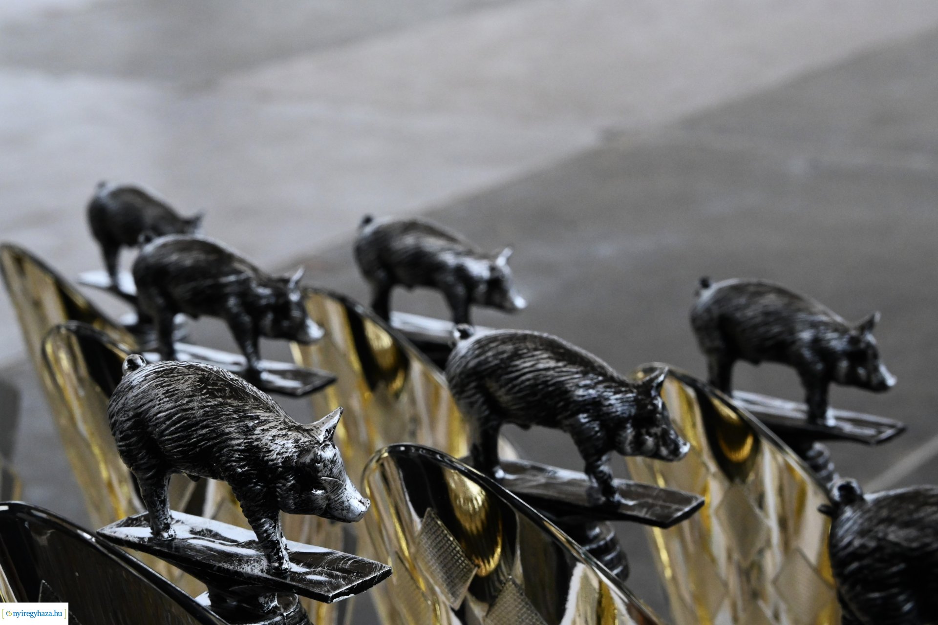 Nyírségi Disznótoros Fesztivál 2024 - eredményhirdetés