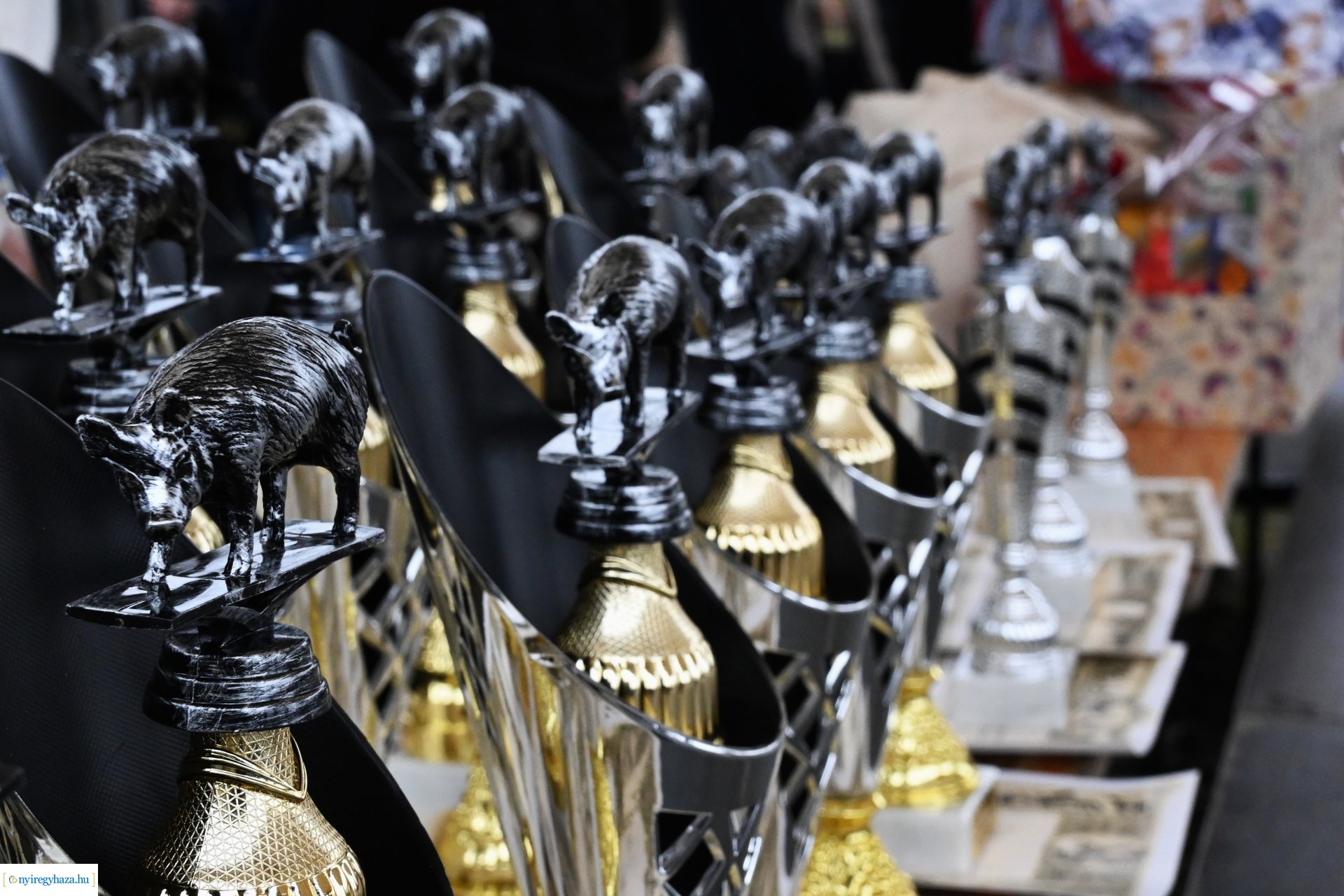 Nyírségi Disznótoros Fesztivál 2024 - eredményhirdetés