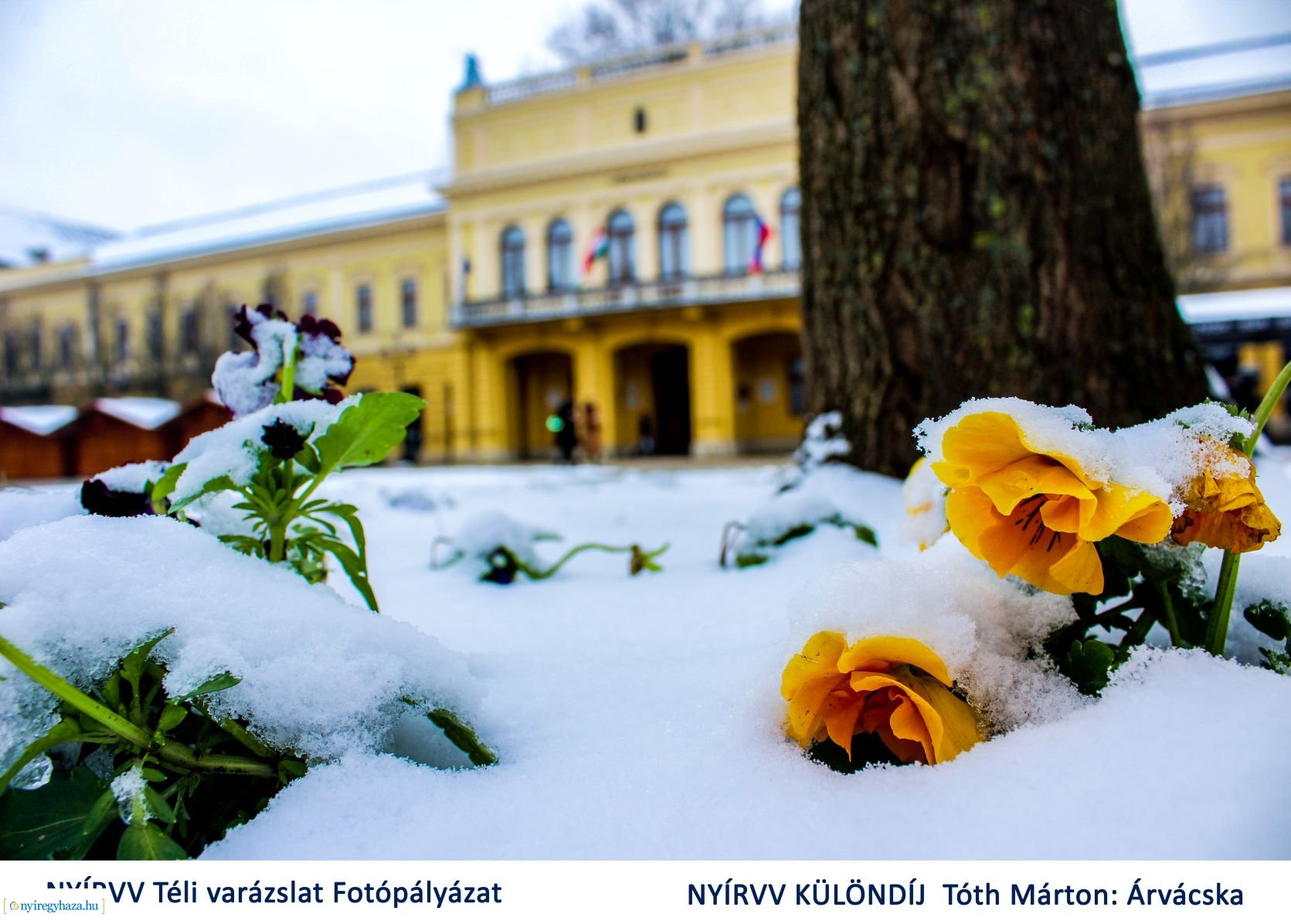 NYÍRVV Téli varázslat fotópályázat 
