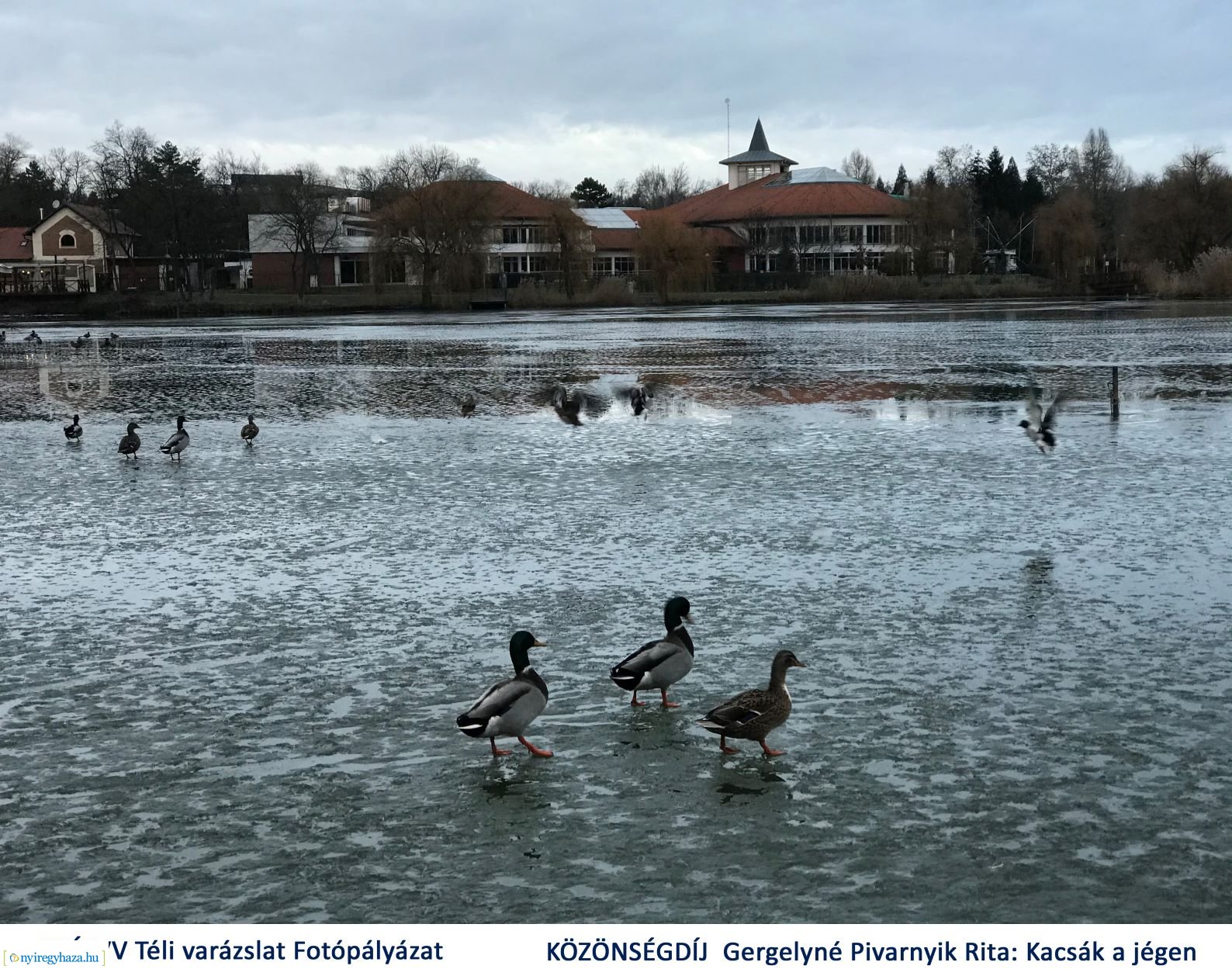 NYÍRVV Téli varázslat fotópályázat 