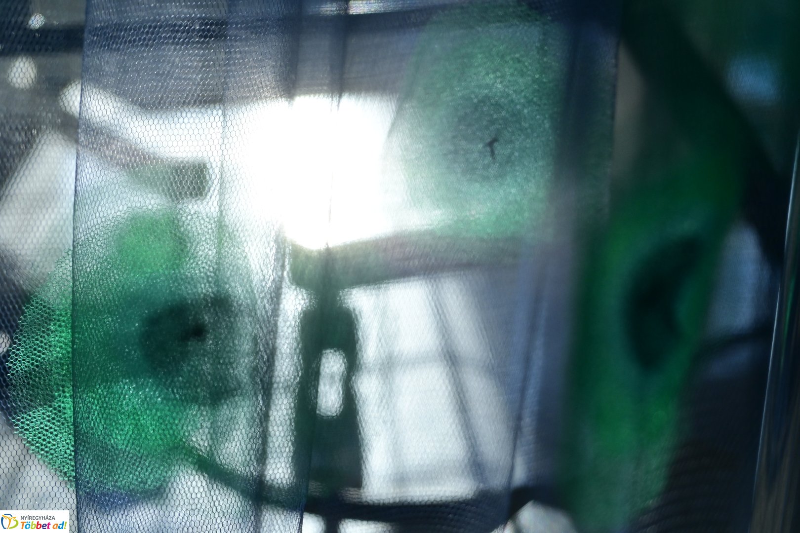 NYSZC divattervezőinek kiállítása a kulturális központban 2025