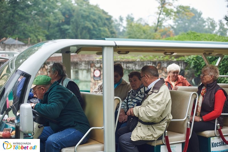 Nyugdíjas séta az Állatparkban